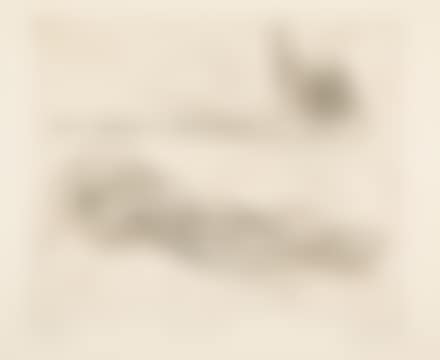 Persistence of Life (B.&M.152) (set of 3) (preview)
