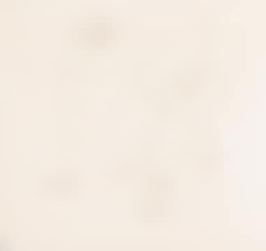 MALE NUDE CROUCHING (preview)
