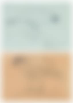 Study of a grouse; Study of a falcon, the former (preview)