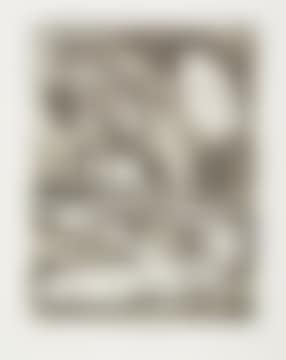 Night Moth (B.&M.171) (preview)