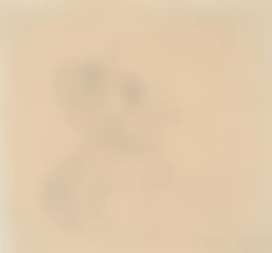 PORTRAIT HEAD OF MRS. ORPEN (preview)