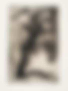 a Genoux (B.&M.191) engraving (preview)