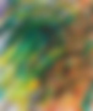 Forest (preview)