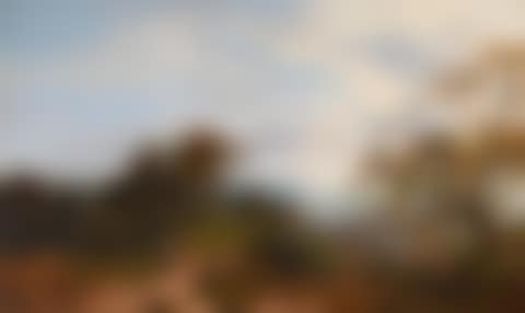 A PEEP AT THE SEA, FAIRLIGHT GLEN (preview)