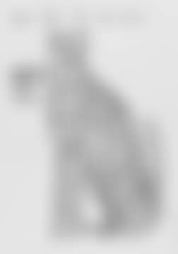 Animals & ExistentialismThe set of four digital prints (preview)