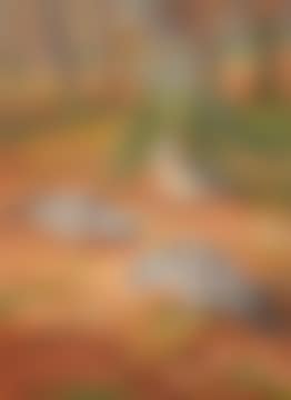 AUTUMN (preview)