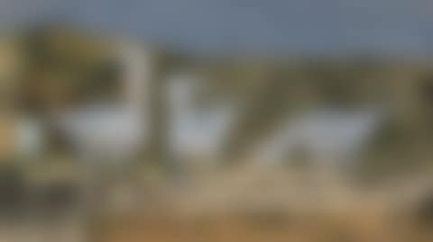 Herring Gulls (preview)