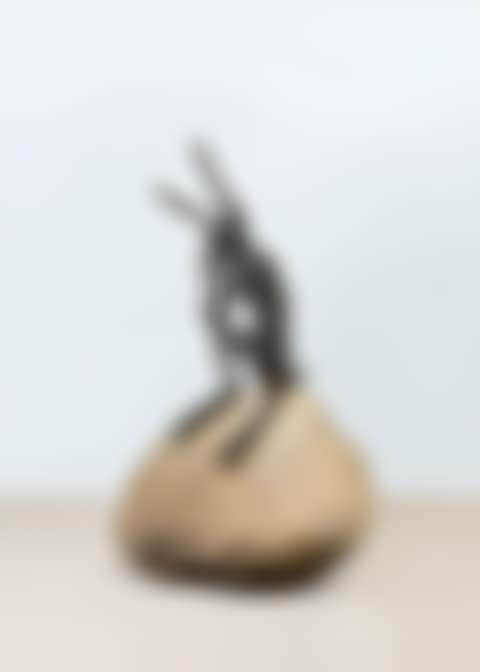 Thinker (preview)