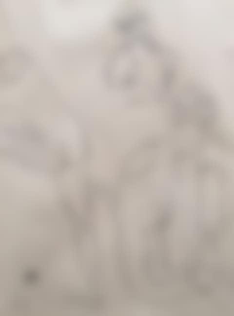 Figure Study (preview)