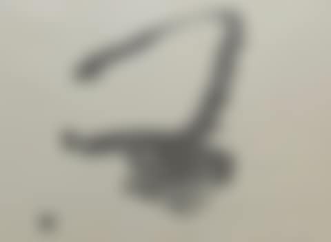 Calligraphy (preview)