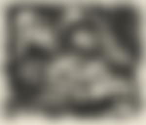 Animal legend (preview)
