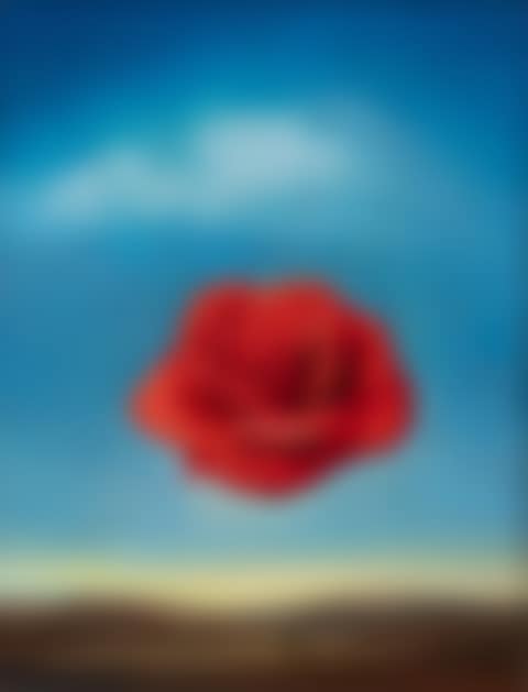 Rose méditative (preview)