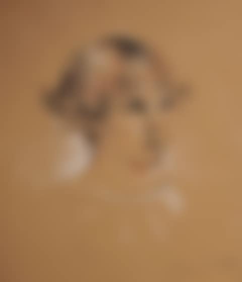 Queen"s Face (preview)