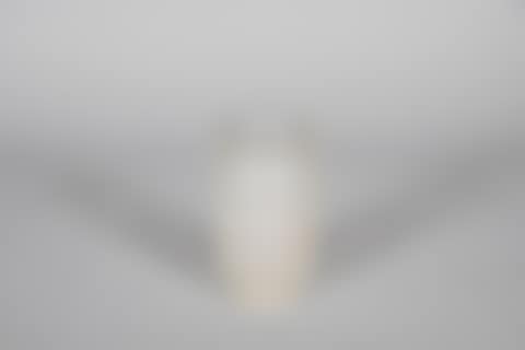 Deauville" vase ( (preview)
