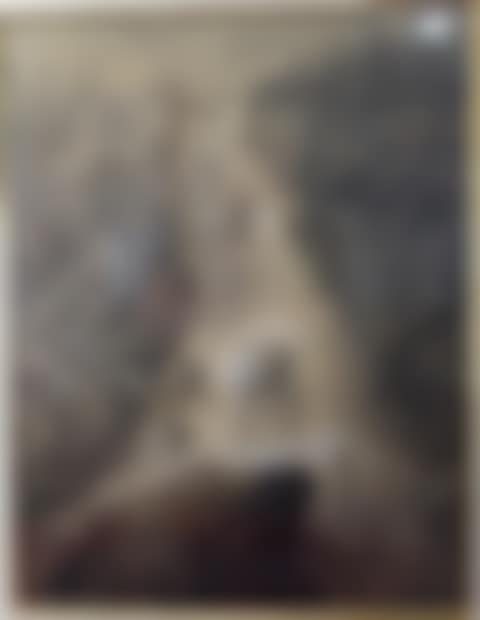 "The torrent" (preview)