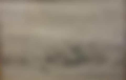 "Landscape (preview)