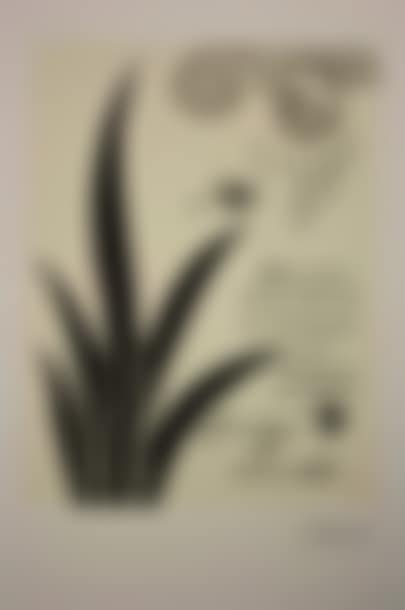 “In two things” (preview)