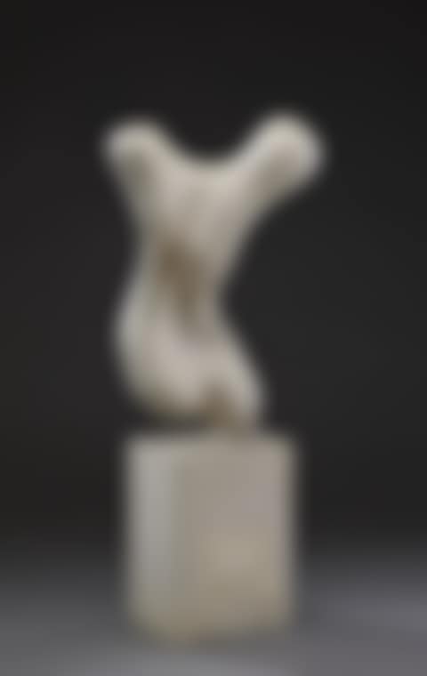 Torso (preview)