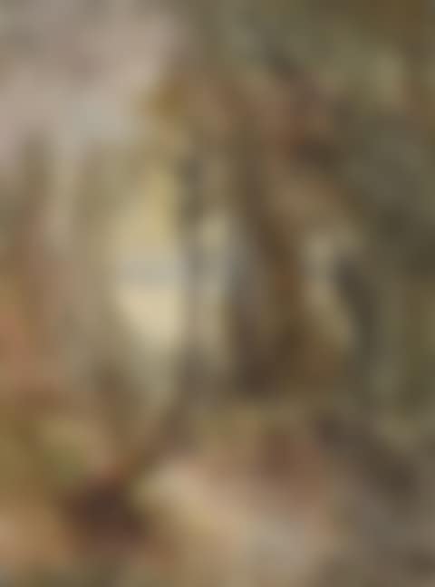 Pond lined with trees. (preview)