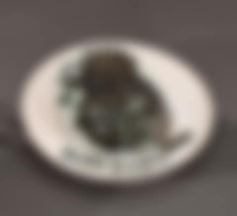 Bird with worm (preview)