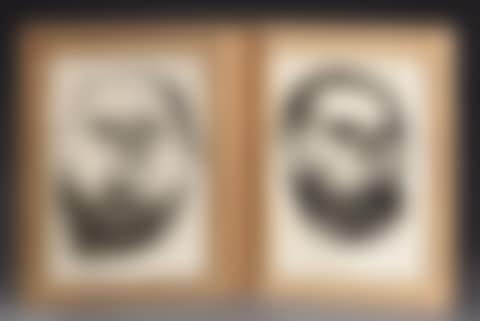 Portraits in diptych (preview)