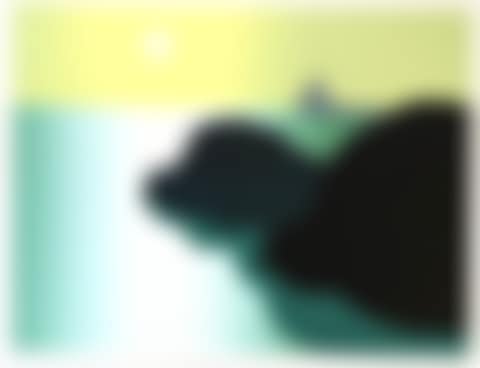 Trawler (preview)