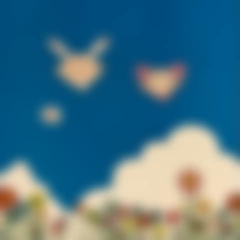 If only I could do this, if only I could do that (preview)
