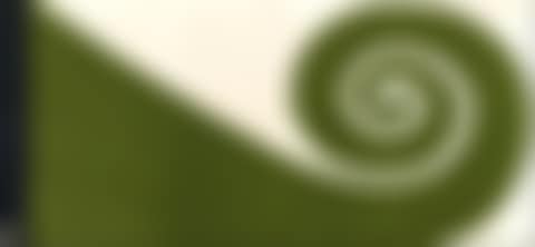 Proposal for the NZ Flag & relating ephemera (preview)