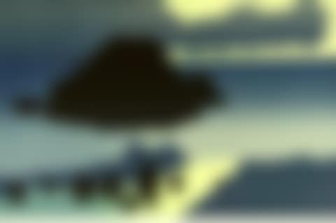 Snapper Rock with Shag (preview)