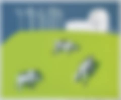 Three Cows on Observatory Hill (preview)
