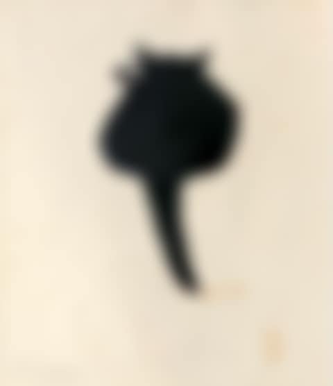 Cat (preview)