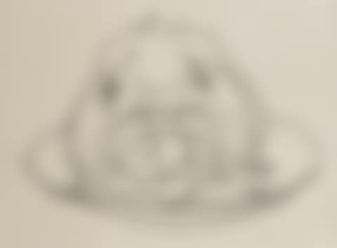 Hapuka (preview)