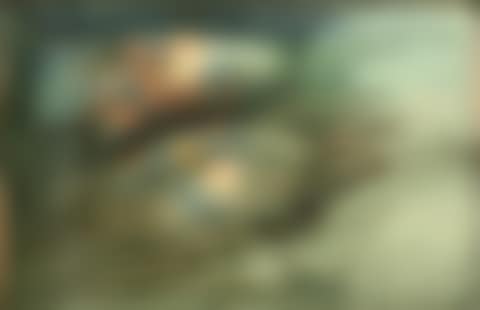 Carp (preview)