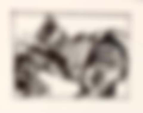 Bird on Rock (Unframed) (preview)