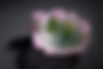Small purple and green glass bowl molded with roses and foliage (preview)