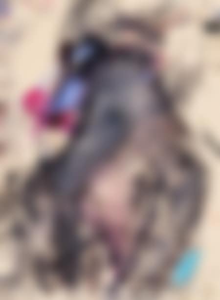 untitled (preview)