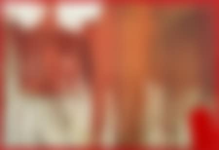 Filled picture with painting shirt (overpainted picture lithograph) (preview)