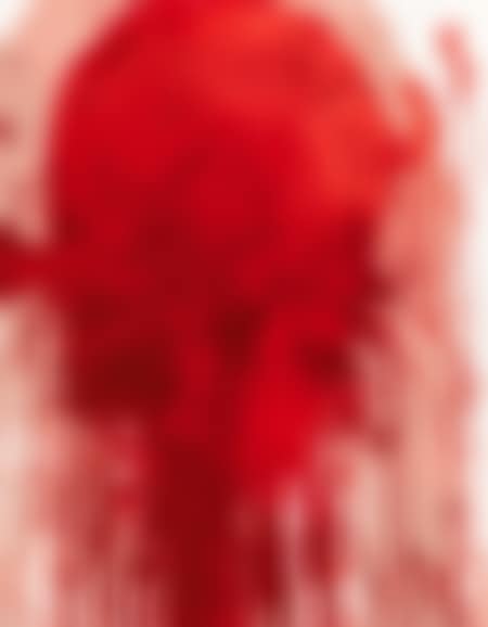 Untitled (grave image) (preview)