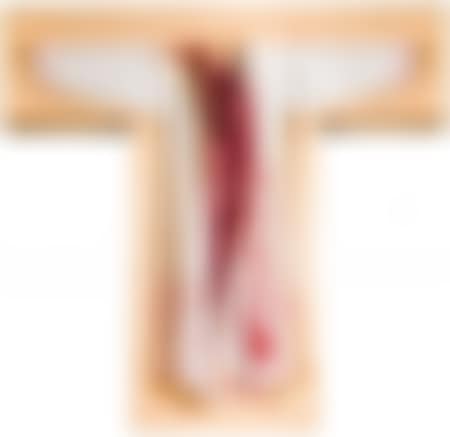 Painting shirt in the cross box (preview)