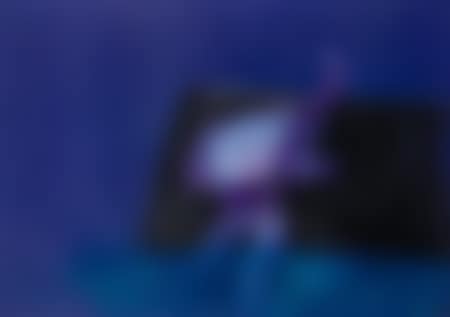 Untitled (preview)