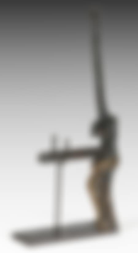 Venus a la giraffe (preview)