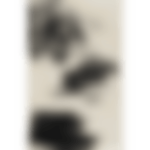 FROM ISLAND 2 (preview)