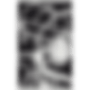 UNTITLED (MBFQ4) (preview)