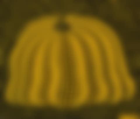 Pumpkin 2000 (Yellow) (preview)