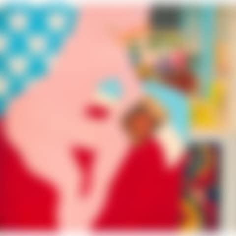 Little Great American Nude #15 (preview)