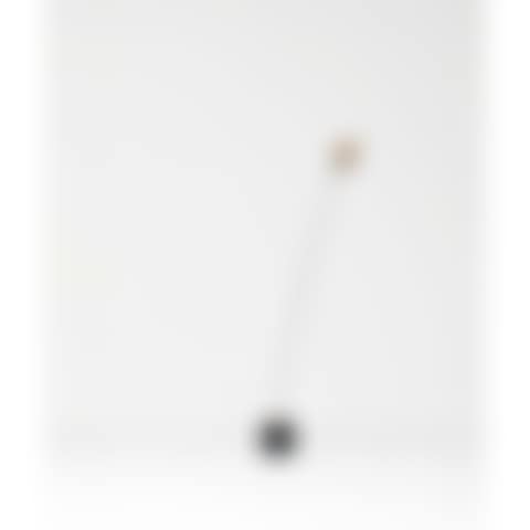 Signal (preview)