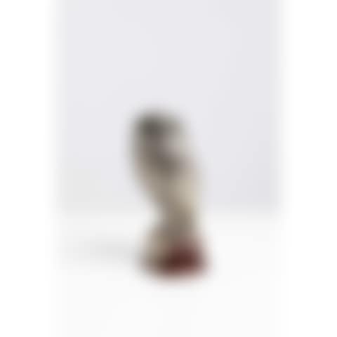 Chouette effraie (preview)