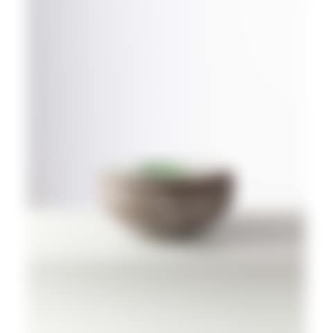 Dish (preview)