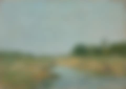 Laveuses au bord de la rivière (preview)