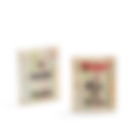Le Picasso de poche et Le Carnet des carnets (preview)